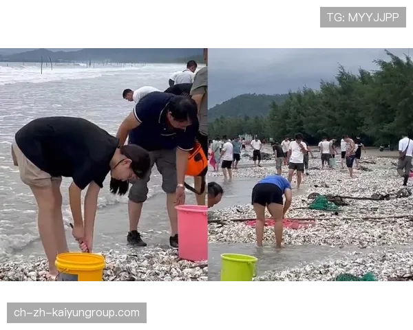 台风过境带来丰盛海鲜,惠州市民忙赶海,惠州台风季节是几月份 台风过境带来丰盛海鲜,惠州市民忙赶海,惠州台风季节是几月份