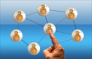 开云体育网页入口-体育新闻中心联合高校打造“体育+传媒”实践课程体系